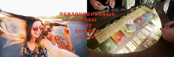 стаф Белокуриха