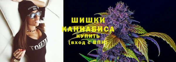 стаф Белокуриха