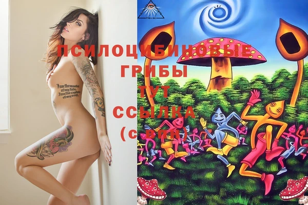 гашишное масло Беломорск