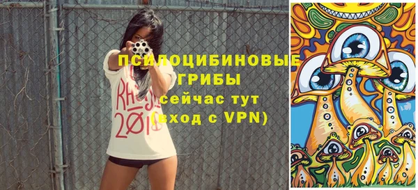 стаф Белокуриха