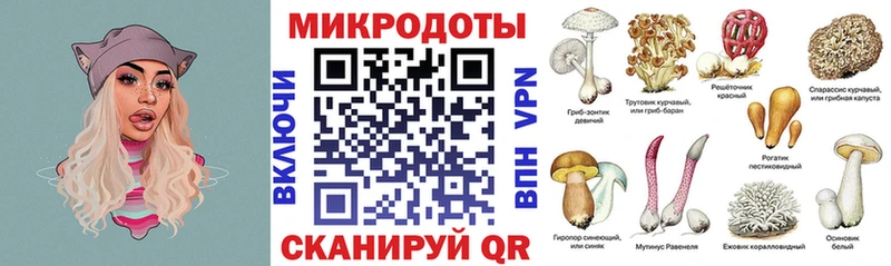 Псилоцибиновые грибы Psilocybine cubensis  Липецк 